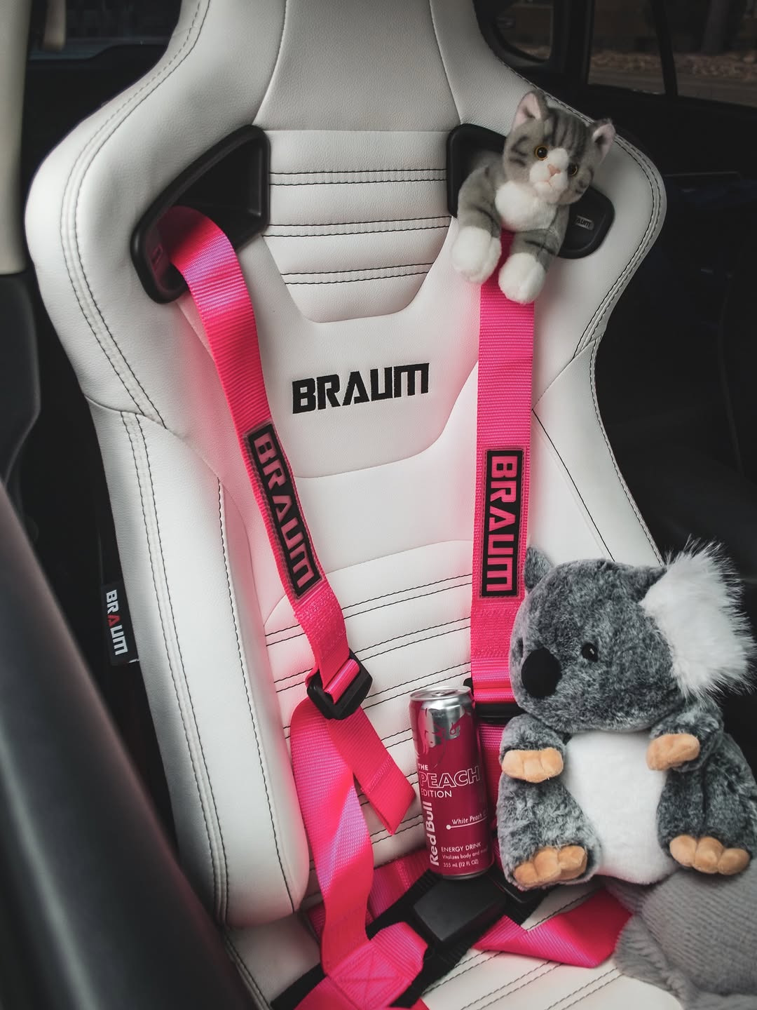 4 PT - Racing Harness 2” Strap