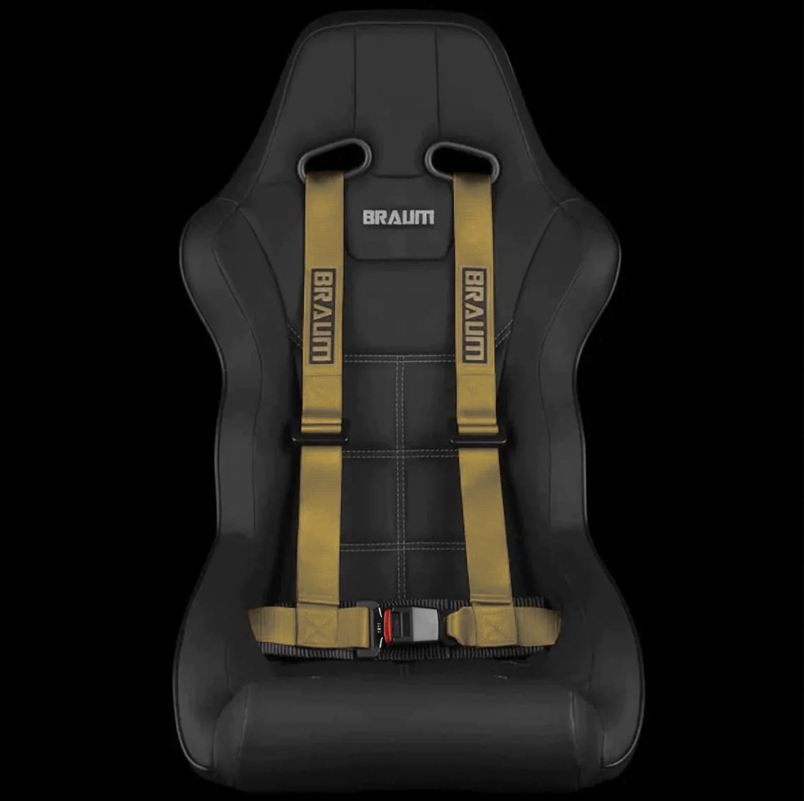 4 PT - Racing Harness 2” Strap